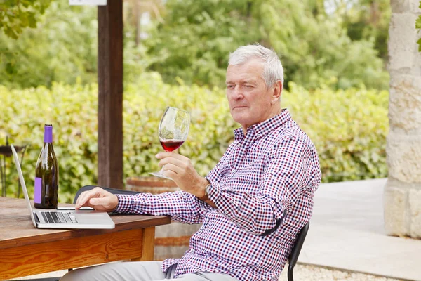 Winemaker sitting at vineyard — Stok fotoğraf