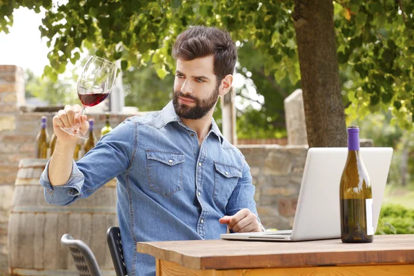 Winemaker holding cam — Stok fotoğraf