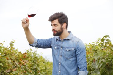 elinde bir bardak tutan winemaker