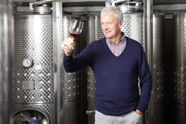 elinde bir bardak tutan winemaker