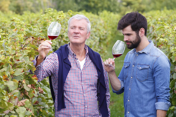 winemakers consulting on vineyard