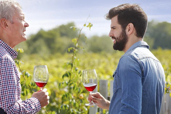 Vinproducenter consulting på vingård — Stockfoto