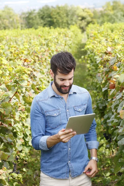 Винодел работает онлайн с цифровым планшетом — стоковое фото