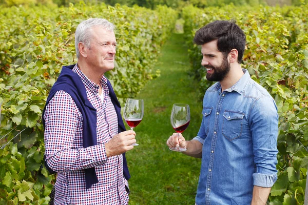 Winzer beraten auf dem Weinberg. — Stockfoto