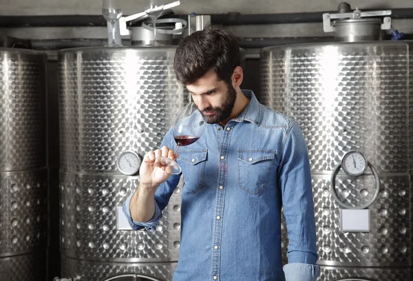 Proprietario degustazione vino rosso — Foto Stock