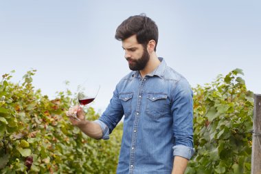 winemaker holding  a glass
