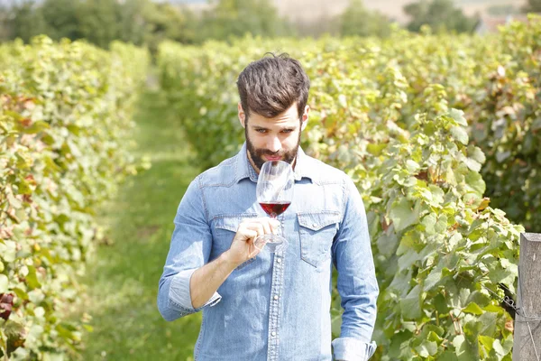 Винодел держа стакан — стоковое фото