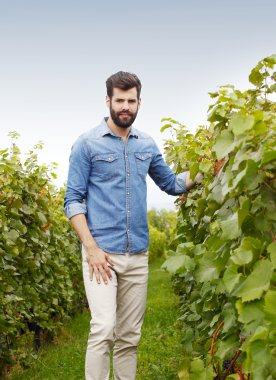 Bağ ayakta winemaker.