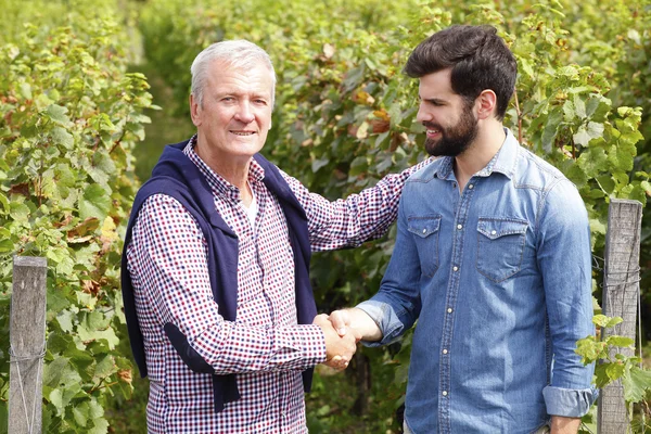 Winemakers shaking hands — Stock Photo, Image