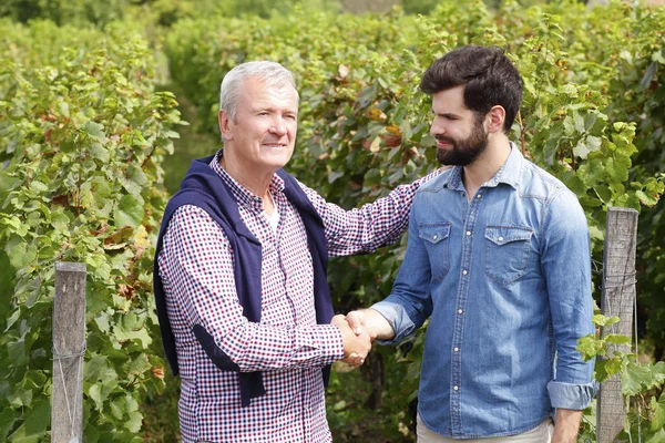 Winemakers shaking hands — Stock Photo, Image