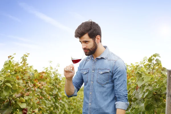 Vinmakare håller i handen ett glas — Stockfoto