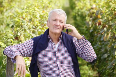 Winemaker holding telefon