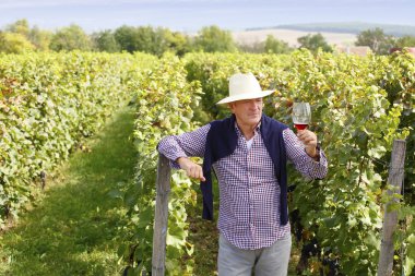 Winemaker holding cam