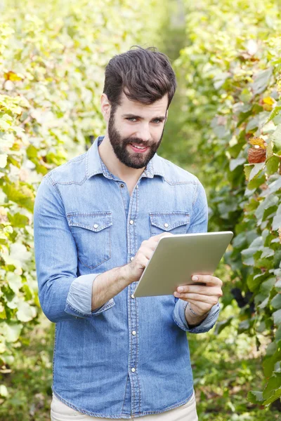 Винодел держит цифровой планшет — стоковое фото