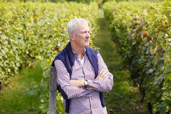 Winery owner  standing — Stock Photo, Image