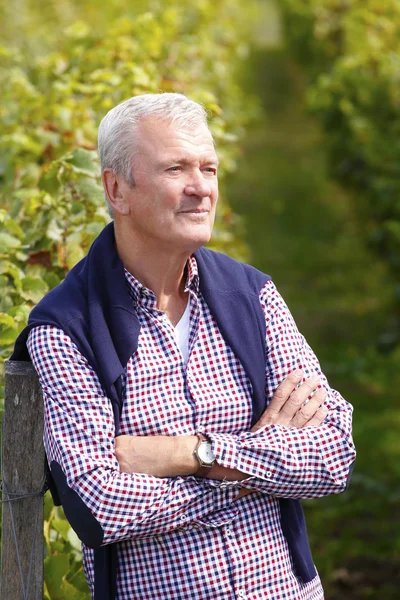 ayakta şaraphane sahibi