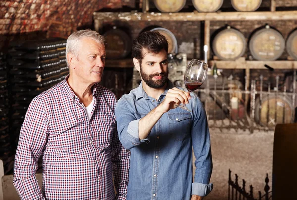 Wijnboer en jonge wijnmaker proeverij wijn — Stockfoto