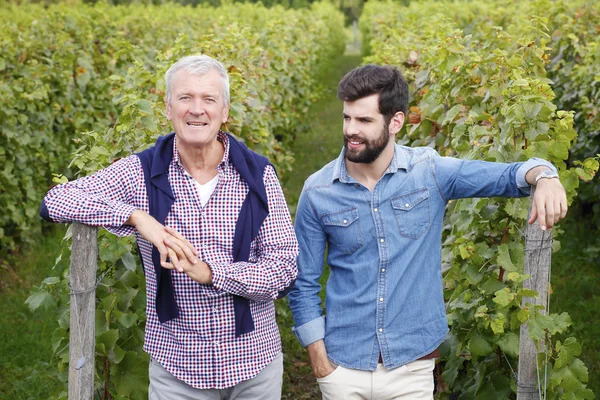 Young winemakers standing — Stock Photo, Image