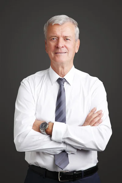 Professional man wearing shirt and tie — Stockfoto