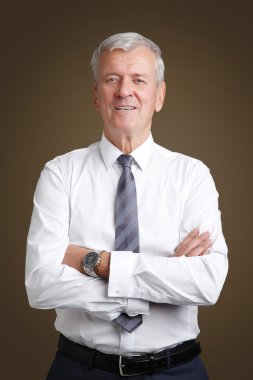 businessman wearing shirt and tie