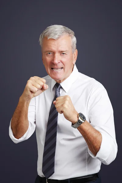 Businessman with puching fists — Stockfoto