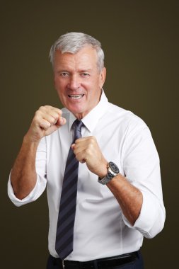 üst düzey işadamı boks