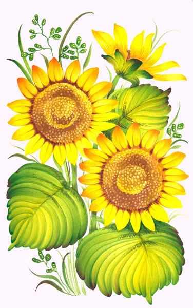 Girasoli — Foto Stock