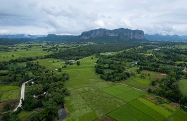 Tayland 'da sisli Puphaman Dağı' nın taze sabah manzarası. Doğal aşk için yerel seyahat yeri.