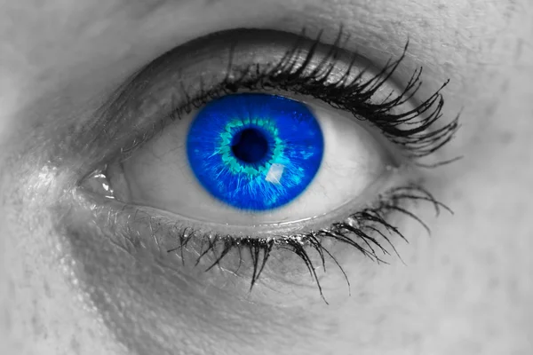 Ojo con iris azul mira el concepto de visor macro . —  Fotos de Stock