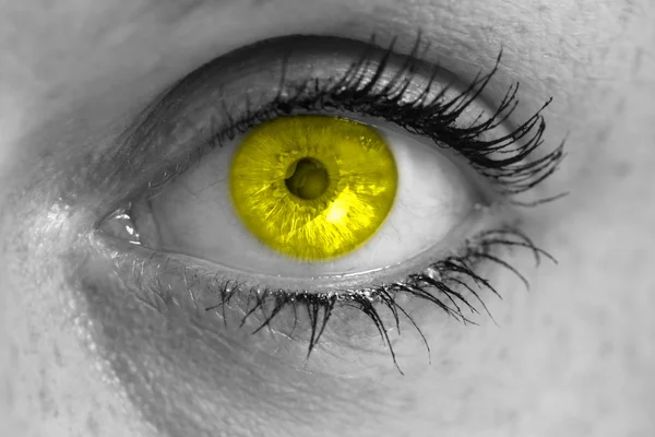 Occhio con iride gialla guarda il concetto di visore macro — Foto Stock
