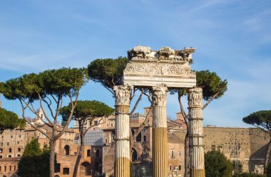 Forum romanum civarındaki Roma panorama