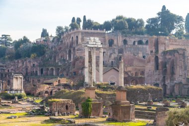 Forum romanum civarındaki Roma panorama
