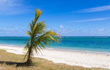Genel plaj Flic en Flac Mauritius Deniz Manzaralı