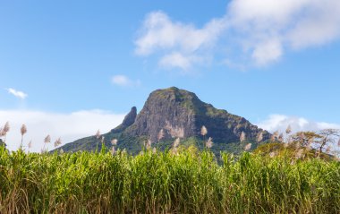 Şeker kamışı alanı olan Mauritius Sıradağları