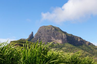 Şeker kamışı alanı olan Mauritius Sıradağları