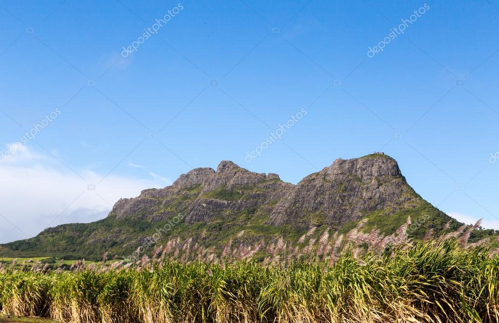 Chaîne De Montagnes à Lîle Maurice Avec Champ De Canne à
