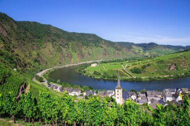 View of Bremm at the Mosel with Moselschleife clipart