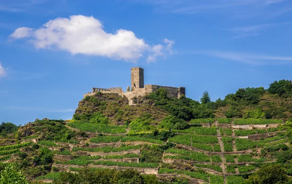 Ruinas del castillo en el Mosela y viñedos — Foto de Stock