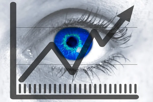 ビューアーの概念を市場価格と目が見える — ストック写真