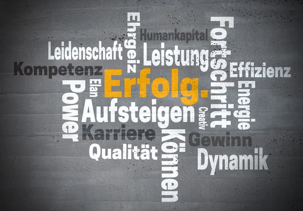 Erfolg Karriere Ehrgeiz (i tysk framgång karriär ambition) word — Stockfoto