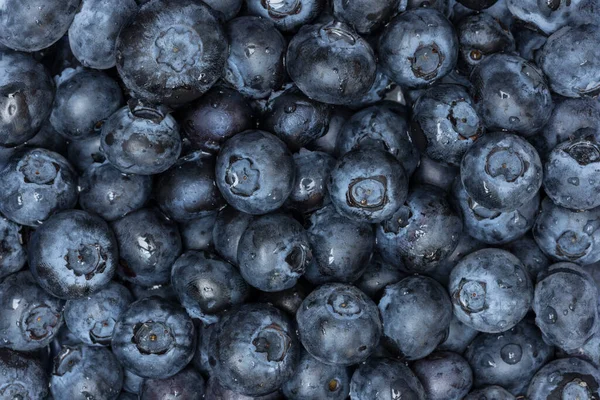 Blueberries Close Détail Plein Écran — Photo