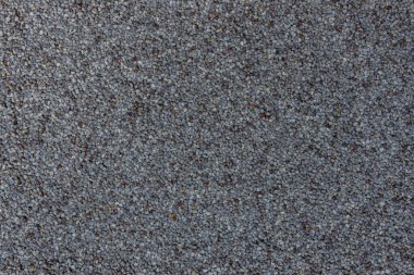 Mavi gelincik arka plan olarak kapatma ayrıntısı