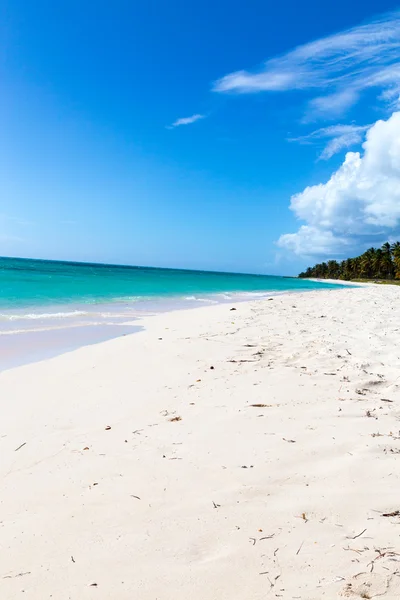 Playa Isla Saona en el Caribe — Foto de Stock
