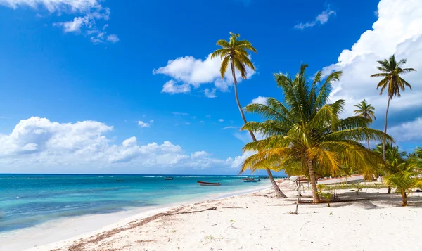 Пляж Саона Домініканська Республіка — стокове фото