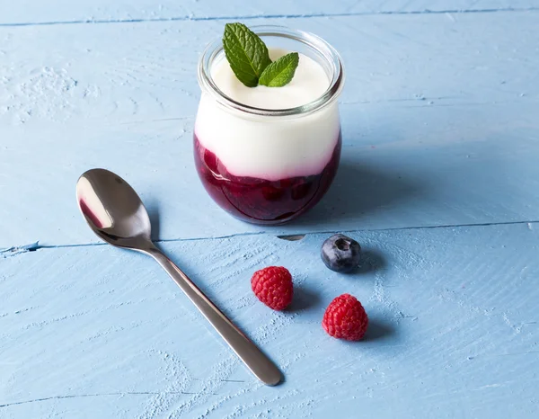 Red fruit jelly with mint — Stock Photo, Image