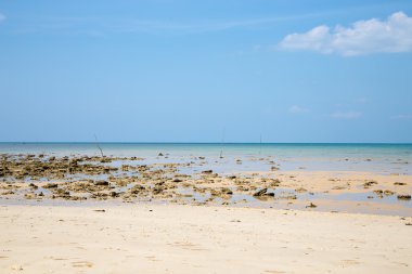 Düşük tide mavi gökyüzü ile kumlu bir plaj üzerinde