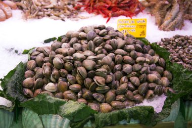 Bir pazar ahır, birçok istiridye