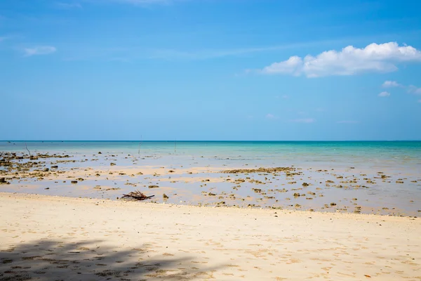 Marea Baja Una Playa Arena Con Cielo Azul —  Fotos de Stock