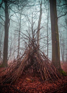 Cadı evi sis ile ormanda