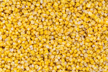 Mısır makro arka plan yapısı olarak